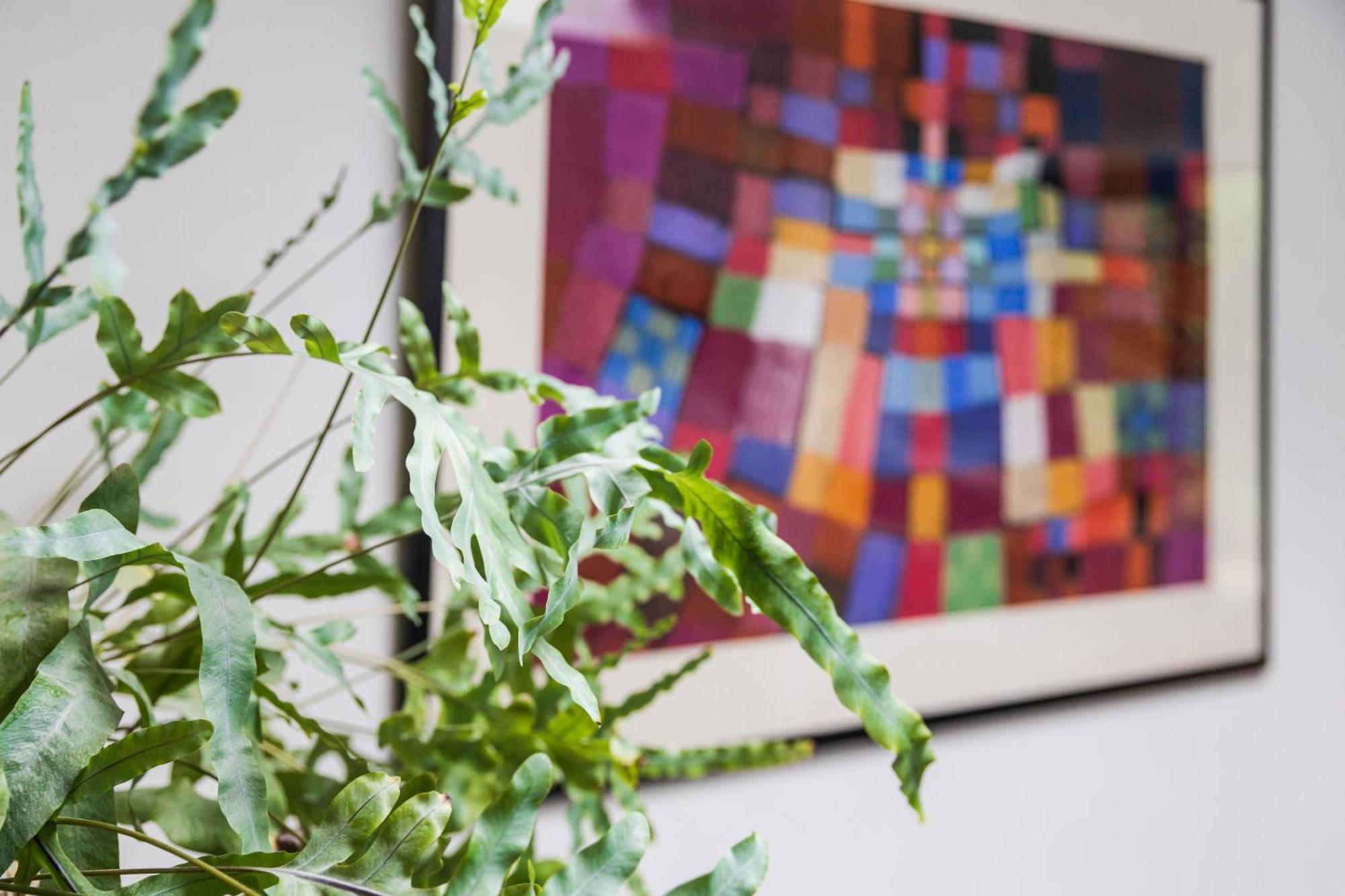 B&B Van Dinter Valkenswaard Exteriér fotografie